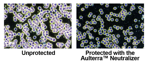 bad-good-blood-cells-web-text-b